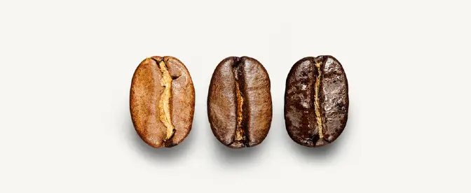 Caffiene in medium roast coffee cover image