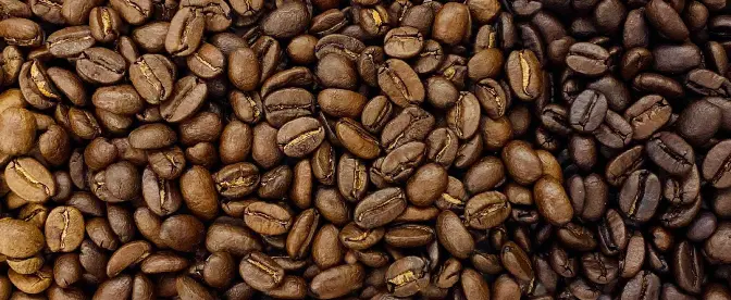 Caffeine in dark roast coffee cover image