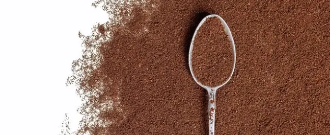 How Long Is Ground Coffee Good For?  cover image