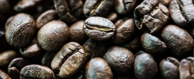 História da produção de café na Índia cover image