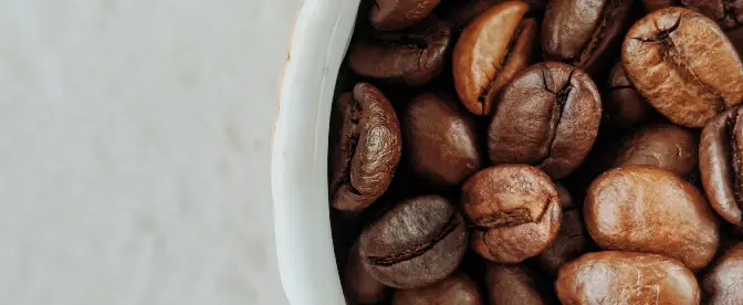 När uppfanns kaffet? cover image
