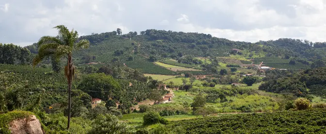 Climate Change and the Impact on Coffee Farmers  cover image