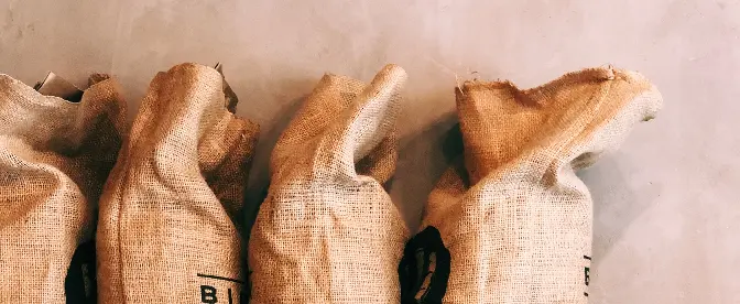 Melhores marcas de café descafeinado orgânico cover image