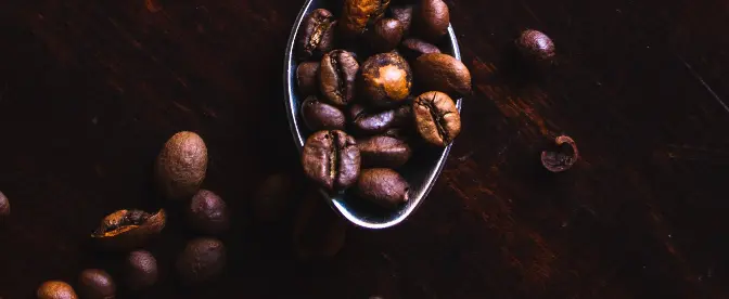 Den gyllene regeln för Kaffebryggning cover image