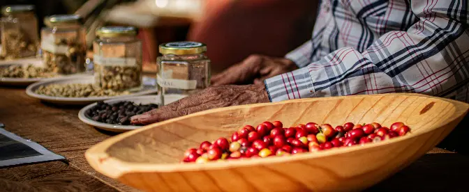 Navigating Uncertain Markets: How Stronger Connections at Source Benefit Coffee cover image