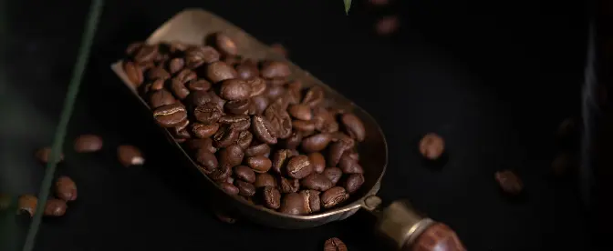 O Robusta Fino Pode Ser Considerado Café de Qualidade cover image