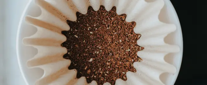 5 maneiras inteligentes de reutilizar filtros de café para uma vida sustentável cover image