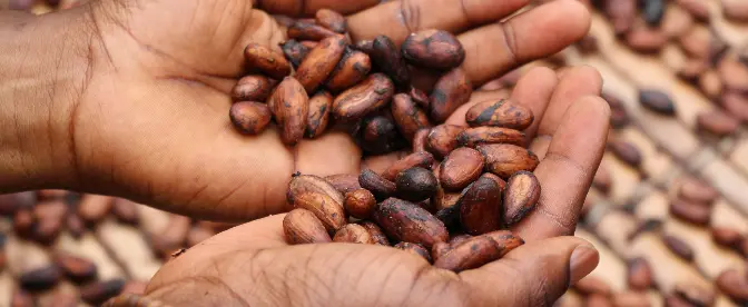 Café de Ruanda: Descubriendo este café africano pasado por alto cover image