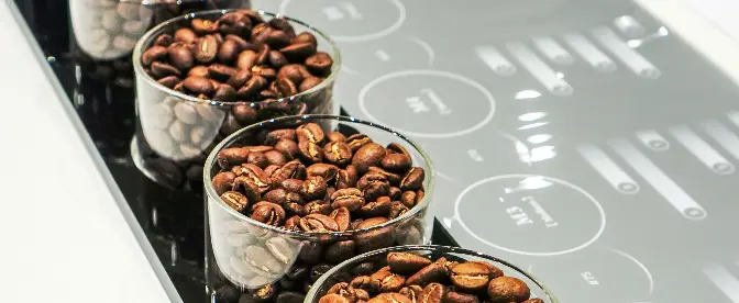 L'arte e la scienza di una tostatura uniforme del caffè cover image