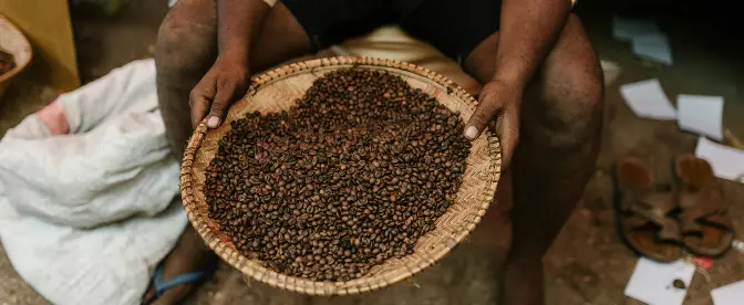 L'impact du changement climatique sur le commerce mondial du café : une analyse complète cover image