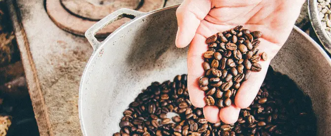 Roasting Coffee At Home: A Complete Guide  cover image