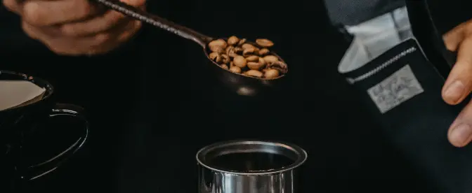 Siroter durablement : réduire l'empreinte carbone de votre consommation de café cover image