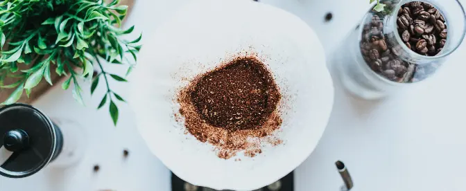 8 Dinge, die man mit Kaffeesatz machen kann cover image