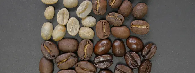 A Ciência por Trás da Torrefação do Café detail image