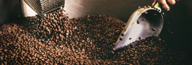 A Ciência por Trás da Torrefação do Café detail image