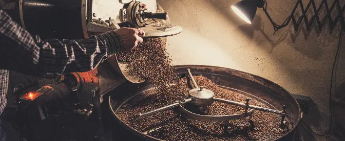 What Does a Coffee Roaster Do? cover image