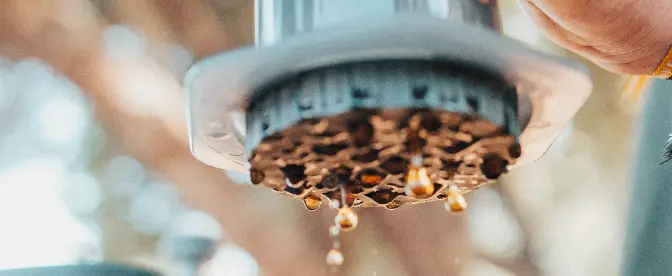 AeroPress vs French Press Brand Comparison cover image
