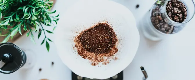 How Much Ground Coffee Should I Use? cover image