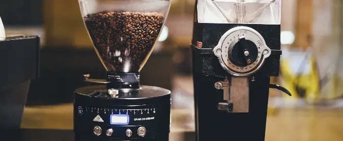 7 Unmistakable Signs It’s Time To Replace Coffee Grinder Burrs cover image