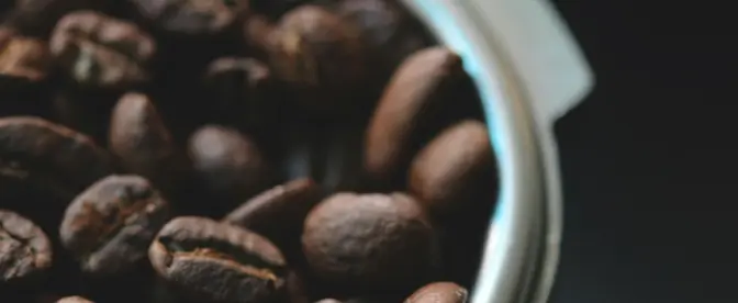 Solutions durables : valoriser les déchets de café pour un avenir plus vert cover image