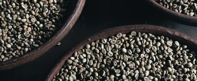Aproveitando o potencial dos resíduos do café como fonte de energia renovável cover image