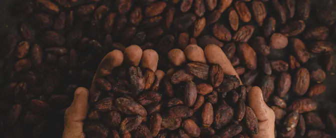 Blockchain Technology Powers Coffee Cocoa cover image