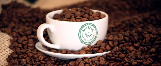 Sustainable Coffee Brands and How to Buy It cover image