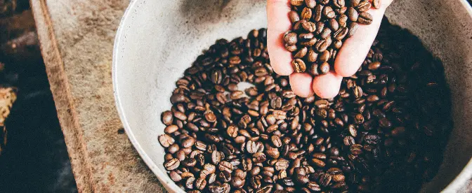 Kaffeburk, kaffeförvaring, kaffebehållare och hållbarhet cover image