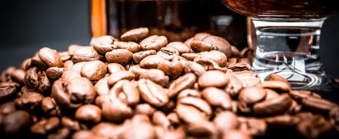 Best Organic Espresso Coffee Beans cover image