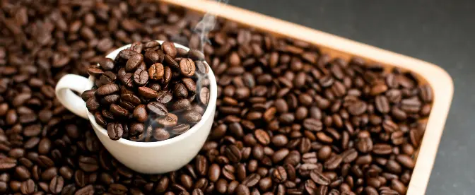 Rosta kaffebönor och kaffe hemma cover image