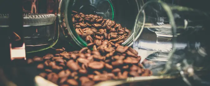 Ölige Kaffeebohnen und wie sie entstehen cover image