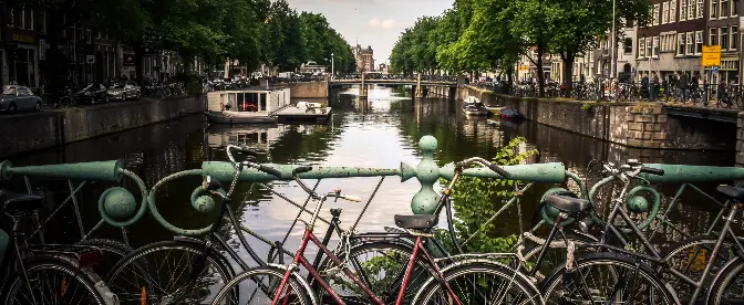 The Dutch Coffee Experience: Cafes, Brewing Methods, and Local Traditions cover image