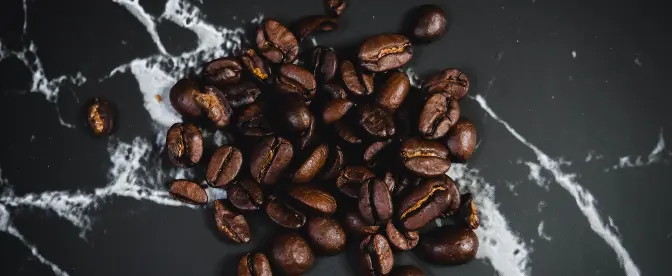 Café arábica ou robusta, qual produção é mais lucrativa?, Notícias