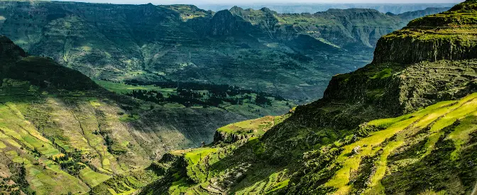 Café congolais cover image