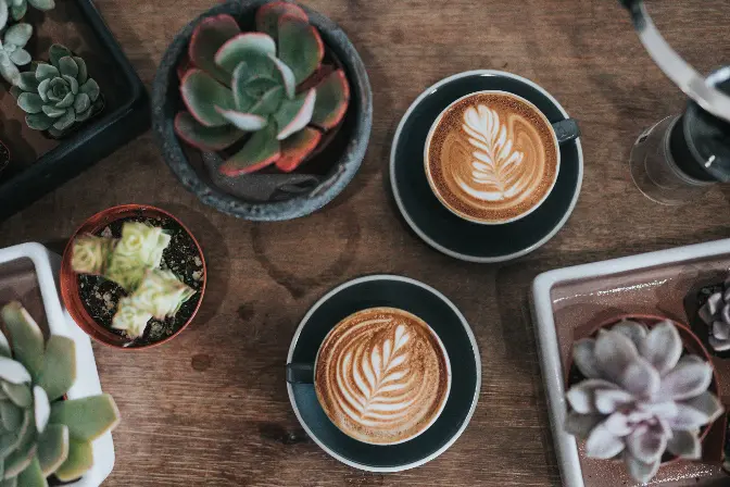 Permaculture in coffee: a viable solution for sustainability? detail image