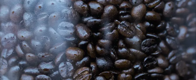 French Roast Coffee: Yea or Nay? cover image
