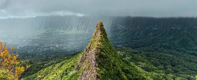 What is Hawaiian Kona Coffee? A Story of Quality and Reputation, Past and Present cover image