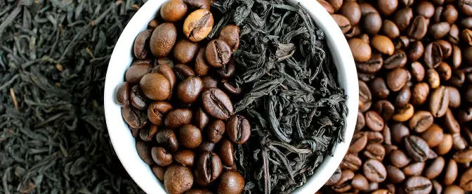 Té vs café: Comparaciones y beneficios para la salud cover image