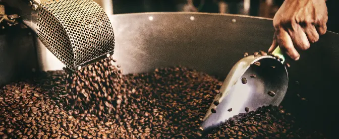 Carreras cafeteras: cómo iniciar un negocio como tostador de café cover image