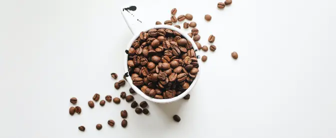 Melhores grãos de café frios cover image