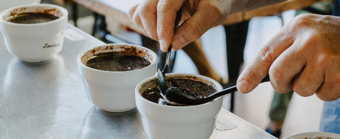 O Que é Uma Degustação de Café, e Como Organizar Uma cover image