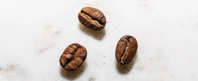 Café arábica ou robusta, qual produção é mais lucrativa?, Notícias