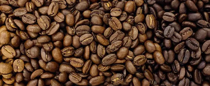 A Cafeína em Cafés de Torra Escura cover image