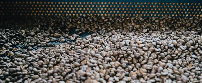 The Circular Economy in Coffee Processing cover image