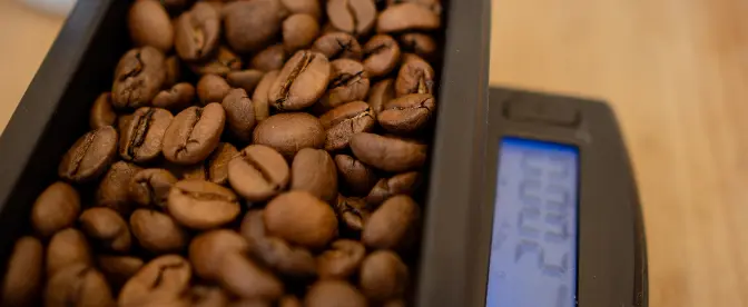 Coffee Scale - Era of We Coffee Forum