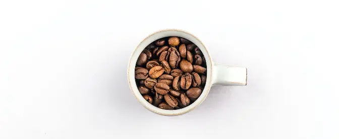 kaffe med smak av hasselnöt cover image