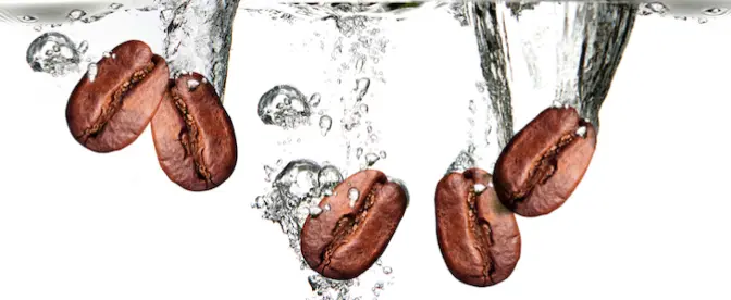 Förhållande mellan kaffe och vatten cover image