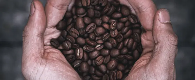 Bäst före datum på kaffe cover image