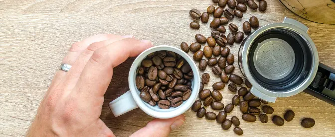 What Is the Difference Between Coffee Beans and Espresso Beans? cover image
