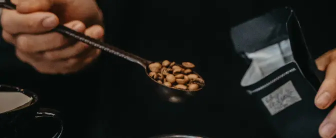 Como tornar o prazer do café zero desperdício: um guia para cafeicultores e consumidores cover image
